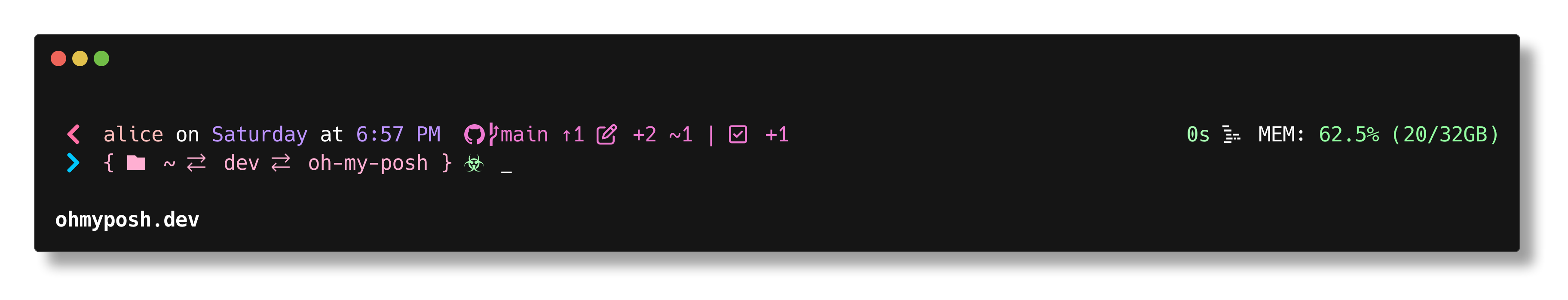 1_shell