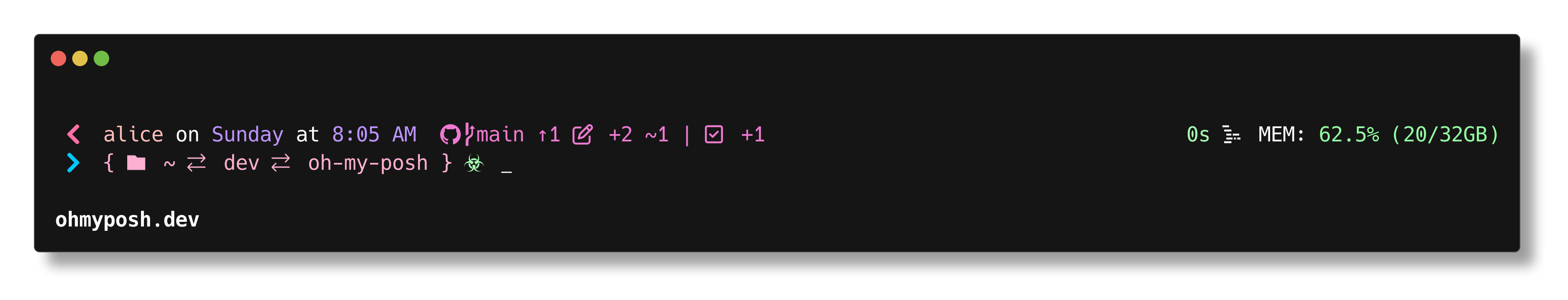 1_shell