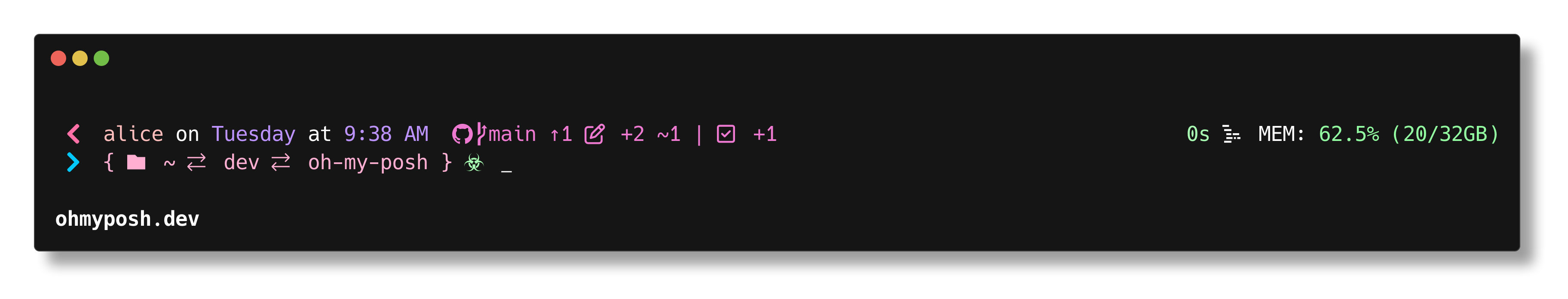 1_shell